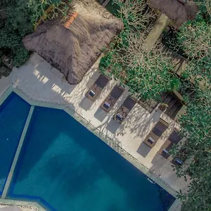 Artini 2 3*, Ubud (Bali) Indonesia
